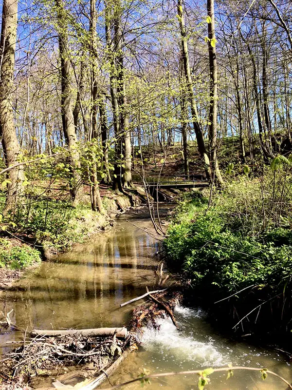 Brunnenaue Sagard